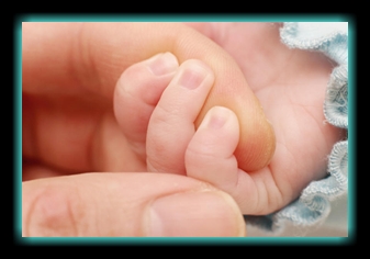 a baby's hands